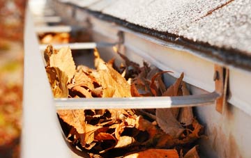 Upper Green gutter cleaning companies