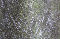 Upper Green fibreglass roof work